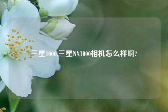 三星1000,三星NX1000相机怎么样啊?