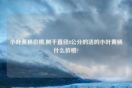 小叶黄杨价格,树干直径8公分的活的小叶黄杨什么价格?