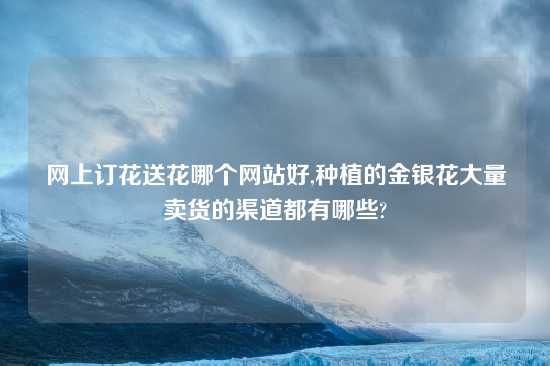 网上订花送花哪个网站好,种植的金银花大量卖货的渠道都有哪些?