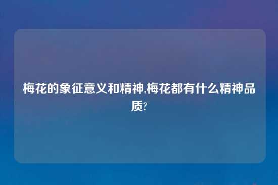 梅花的象征意义和精神,梅花都有什么精神品质?