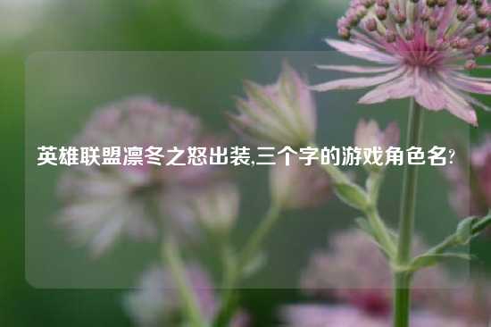 英雄联盟凛冬之怒出装,三个字的游戏角色名?