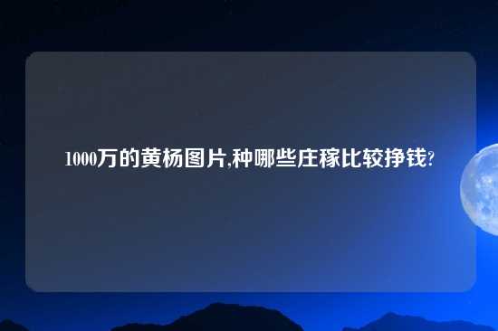 1000万的黄杨图片,种哪些庄稼比较挣钱?