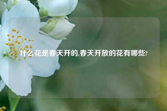 什么花是春天开的,春天开放的花有哪些?