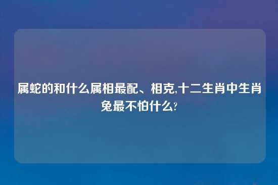 属蛇的和什么属相最配、相克,十二生肖中生肖兔最不怕什么?