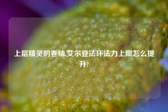 上层精灵的卷轴,艾尔登法环法力上限怎么提升?