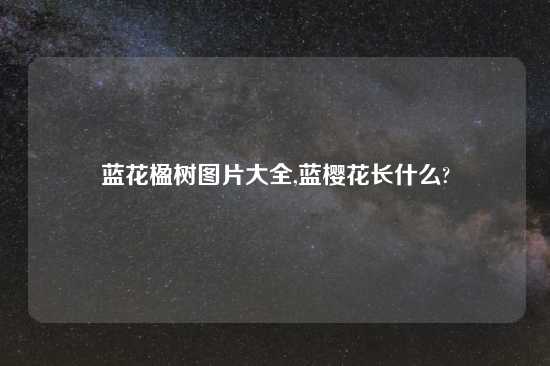 蓝花楹树图片大全,蓝樱花长什么?