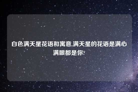 白色满天星花语和寓意,满天星的花语是满心满眼都是你?