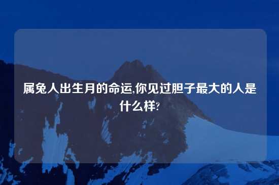 属兔人出生月的命运,你见过胆子最大的人是什么样?