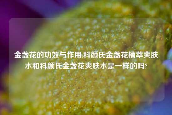 金盏花的功效与作用,科颜氏金盏花植萃爽肤水和科颜氏金盏花爽肤水是一样的吗?