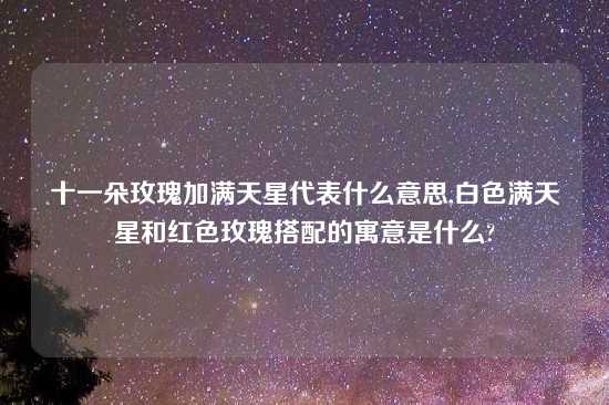 十一朵玫瑰加满天星代表什么意思,白色满天星和红色玫瑰搭配的寓意是什么?