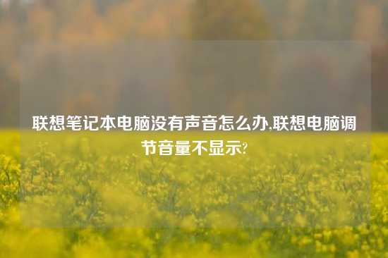 联想笔记本电脑没有声音怎么办,联想电脑调节音量不显示?