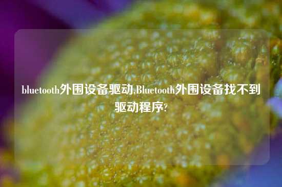 bluetooth外围设备驱动,Bluetooth外围设备找不到驱动程序?