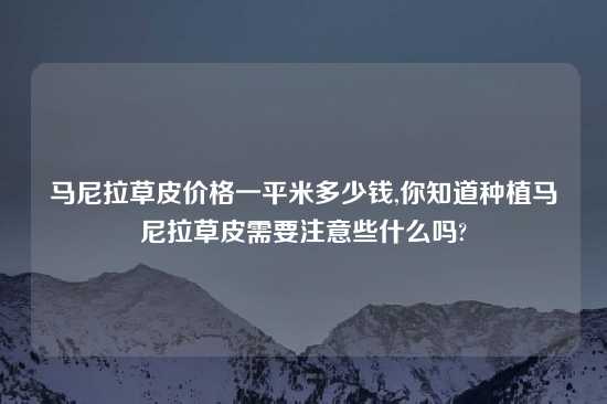 马尼拉草皮价格一平米多少钱,你知道种植马尼拉草皮需要注意些什么吗?