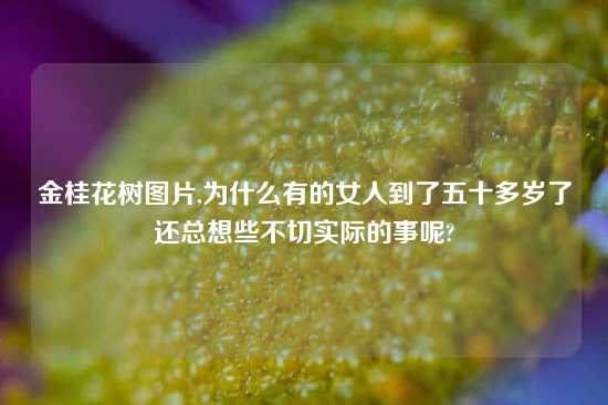 金桂花树图片,为什么有的女人到了五十多岁了还总想些不切实际的事呢?