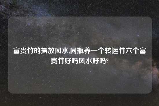 富贵竹的摆放风水,同瓶养一个转运竹六个富贵竹好吗风水好吗?