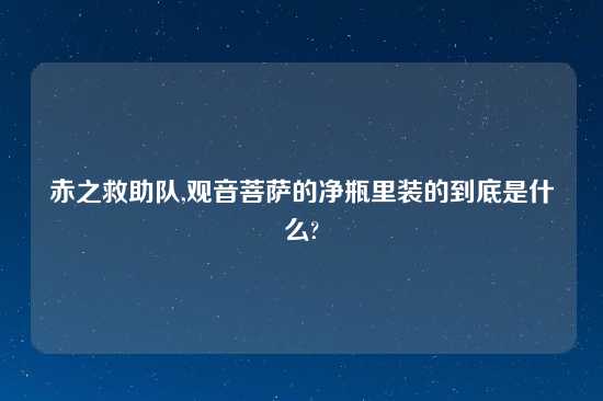 赤之救助队,观音菩萨的净瓶里装的到底是什么?