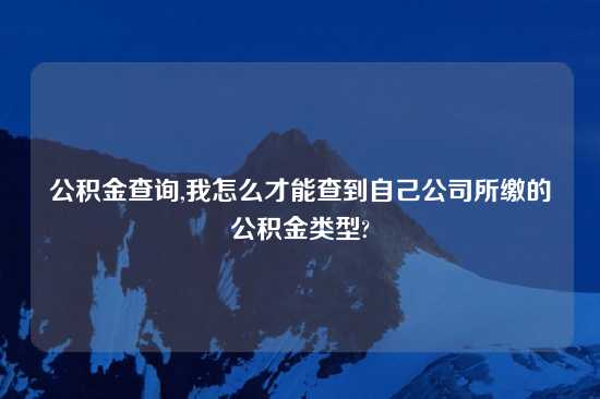 公积金查询,我怎么才能查到自己公司所缴的公积金类型?