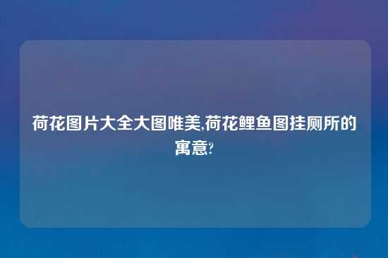 荷花图片大全大图唯美,荷花鲤鱼图挂厕所的寓意?