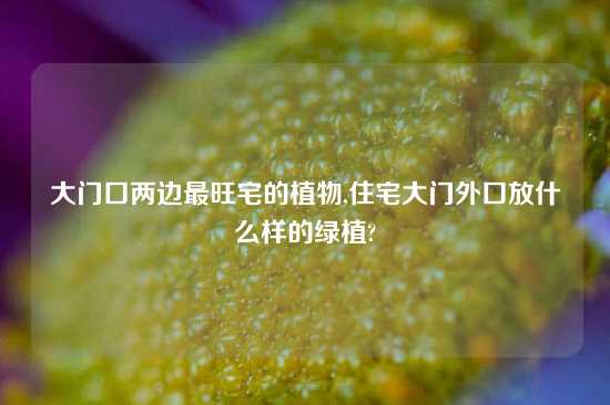 大门口两边最旺宅的植物,住宅大门外口放什么样的绿植?