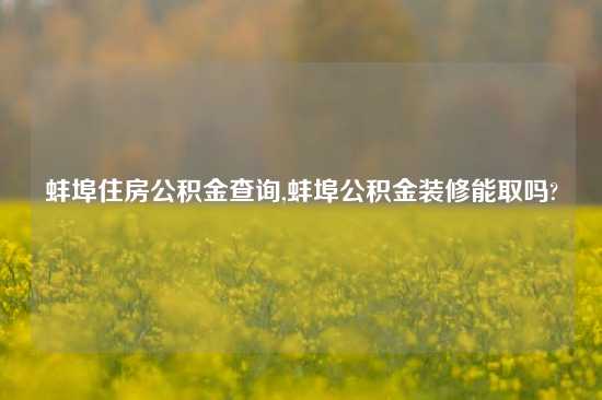 蚌埠住房公积金查询,蚌埠公积金装修能取吗?