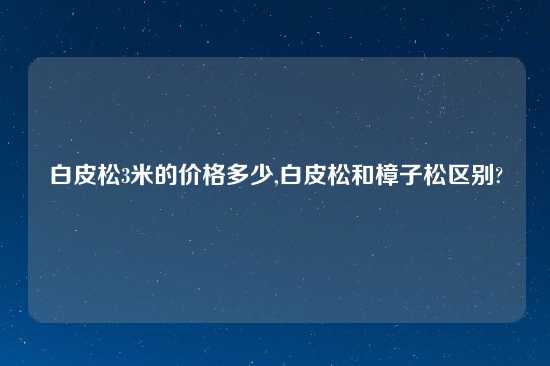 白皮松3米的价格多少,白皮松和樟子松区别?