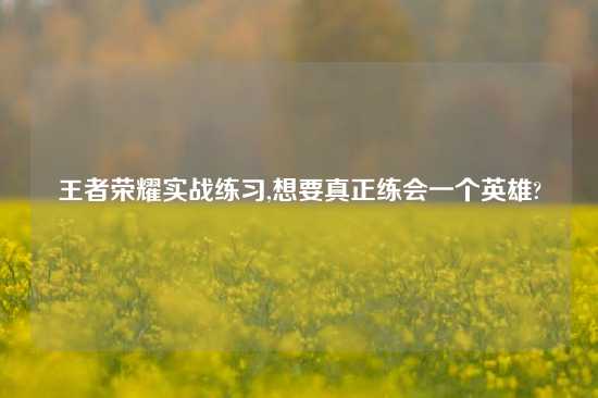 王者荣耀实战练习,想要真正练会一个英雄?