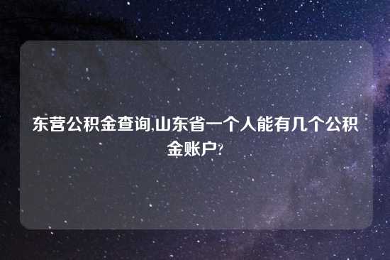 东营公积金查询,山东省一个人能有几个公积金账户?