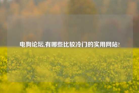 电狗论坛,有哪些比较冷门的实用网站?