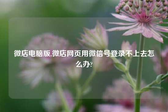 微店电脑版,微店网页用微信号登录不上去怎么办?
