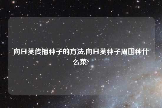 向日葵传播种子的方法,向日葵种子周围种什么菜?