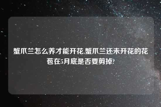 蟹爪兰怎么养才能开花,蟹爪兰还未开花的花苞在5月底是否要剪掉?