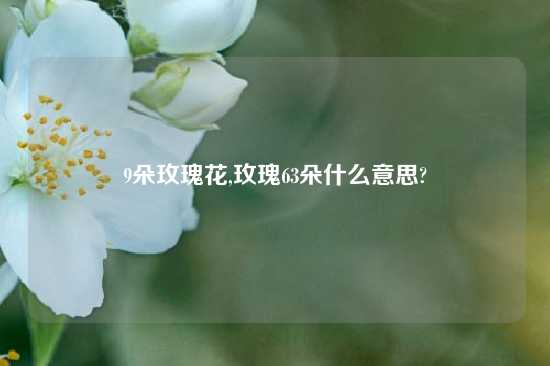 9朵玫瑰花,玫瑰63朵什么意思?