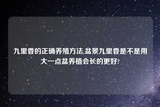 九里香的正确养殖方法,盆景九里香是不是用大一点盆养植会长的更好?