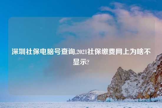 深圳社保电脑号查询,2021社保缴费网上为啥不显示?