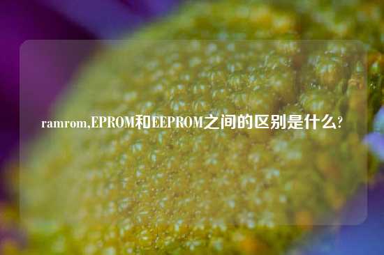 ramrom,EPROM和EEPROM之间的区别是什么?