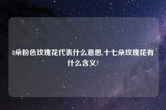 8朵粉色玫瑰花代表什么意思,十七朵玫瑰花有什么含义?