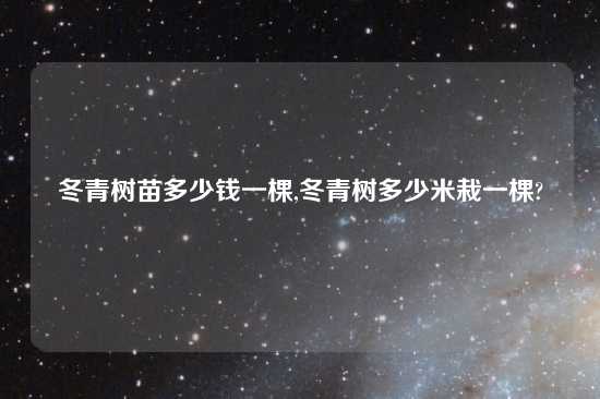 冬青树苗多少钱一棵,冬青树多少米栽一棵?