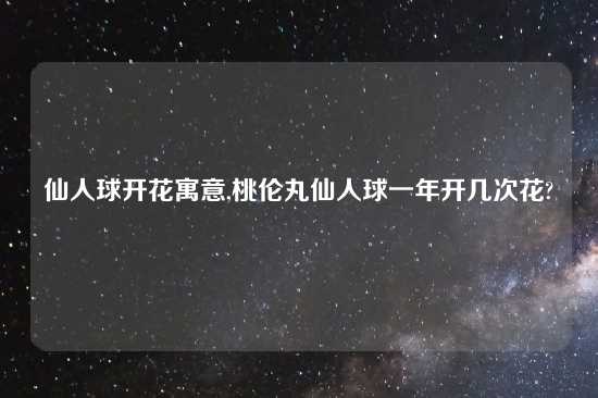 仙人球开花寓意,桃伦丸仙人球一年开几次花?