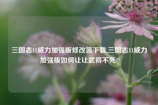 三国志11威力加强版修改器怎么玩,三国志11威力加强版如何让让武将不死?