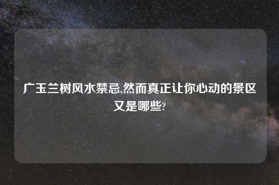 广玉兰树风水禁忌,然而真正让你心动的景区又是哪些?