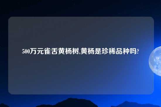 500万元雀舌黄杨树,黄杨是珍稀品种吗?