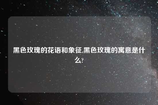 黑色玫瑰的花语和象征,黑色玫瑰的寓意是什么?