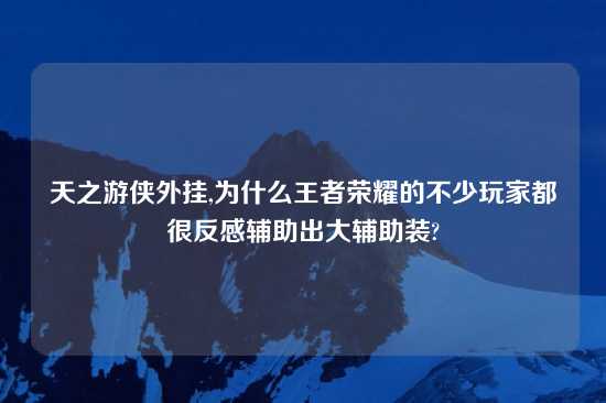 天之游侠外挂,为什么王者荣耀的不少玩家都很反感辅助出大辅助装?