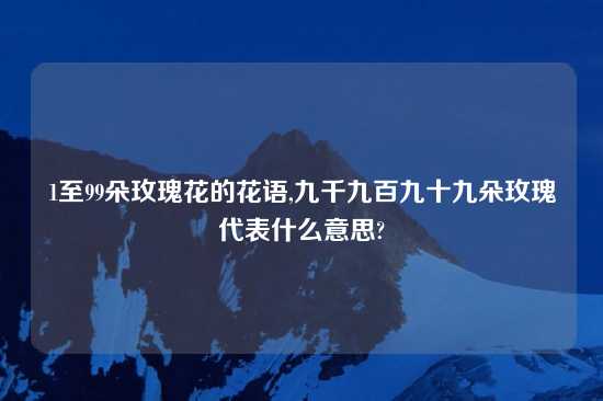 1至99朵玫瑰花的花语,九千九百九十九朵玫瑰代表什么意思?