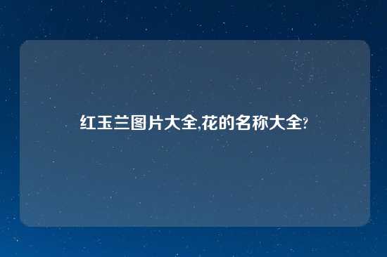 红玉兰图片大全,花的名称大全?