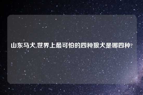 山东马犬,世界上最可怕的四种狼犬是哪四种?