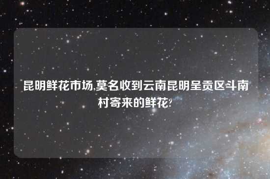 昆明鲜花市场,莫名收到云南昆明呈贡区斗南村寄来的鲜花?