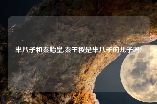 芈八子和秦始皇,秦王稷是芈八子的儿子吗?