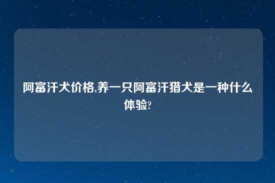 阿富汗犬价格,养一只阿富汗猎犬是一种什么体验?