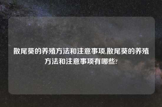 散尾葵的养殖方法和注意事项,散尾葵的养殖方法和注意事项有哪些?